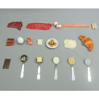 イワイサンプル フードモデル 脂質(脂肪)の多い食品 37 1セット 62-8602-11（直送品）