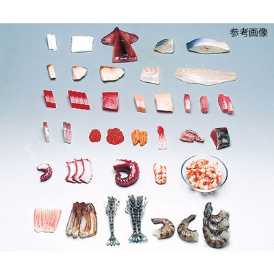 イワイサンプル フードモデル(魚介類) まぐろ(脂身)25g 4-58 1個 62-8598-52（直送品）