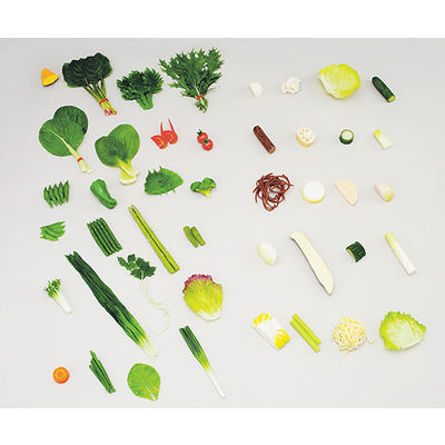 イワイサンプル フードモデル 野菜のフードモデル(44種) 12-A 1セット 62-8602-10（直送品）