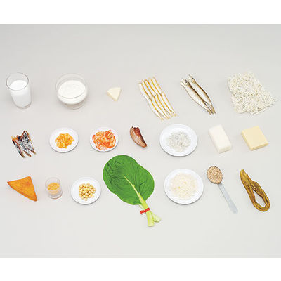 イワイサンプル フードモデル カルシウムを多く含む食材 73 1セット 62-8602-21（直送品）