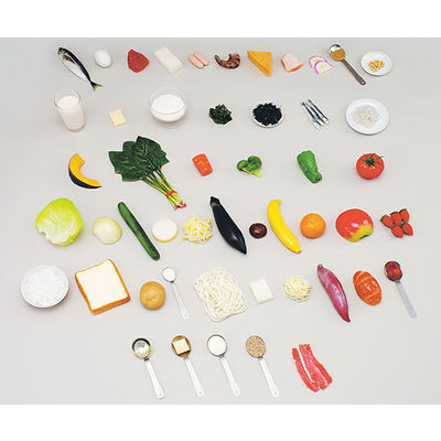 イワイサンプル フードモデル 6つの基礎食品群モデル(50種) 52 1セット 62-8602-16（直送品）