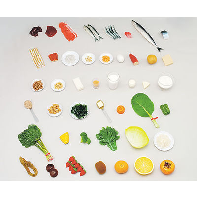 イワイサンプル フードモデル ビタミン・ミネラルを多く含む食品 43 1セット 62-8602-15（直送品）