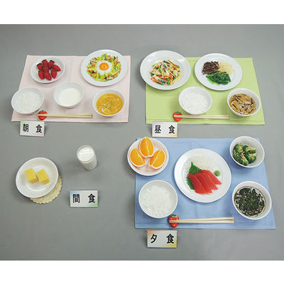 イワイサンプル フードモデル 健康な高齢者の献立1500Kcalごはんセット 57-A 1セット 62-8602-17（直送品）