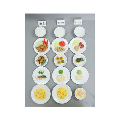 イワイサンプル フードモデル 介護食(段階別) 59 1セット 62-8602-18（直送品）