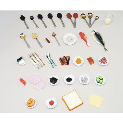 イワイサンプル フードモデル 減塩食(指導用モデル) 65 1セット 62-8602-19（直送品）