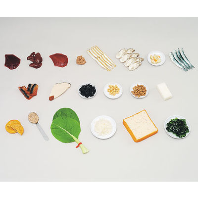 イワイサンプル フードモデル 鉄分を多く含む食品(食材) 70 1セット 62-8602-20（直送品）