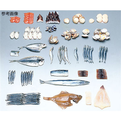 イワイサンプル フードモデル(魚介類) さんまみりん干し20g 4-109 1個 62-8599-14（直送品）
