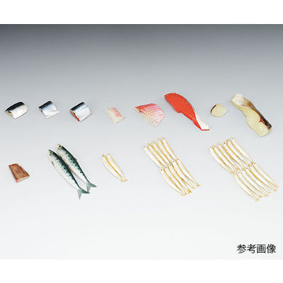 イワイサンプル フードモデル(魚介類) さんま15g 4-152 1個 62-8598-26（直送品）