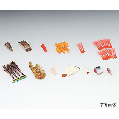 イワイサンプル フードモデル(魚介類) 生うに60g 4-167 1個 62-8598-77（直送品）