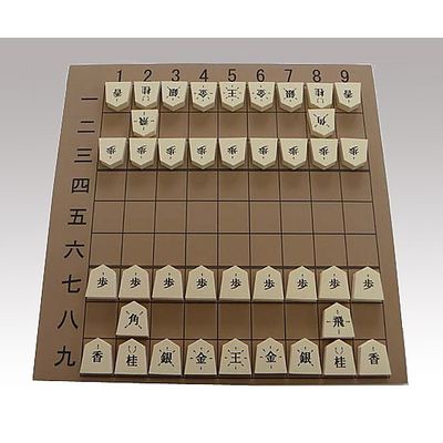 アズワン 屋内教具 8-3898-02 1個（直送品）