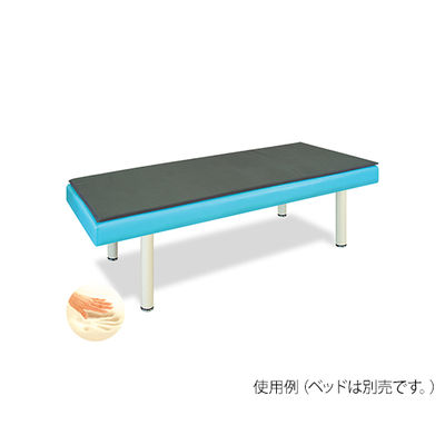 高田ベッド製作所 低反発マット 幅65×長さ180×厚み2cm TB-1238 1個 63-0987-65（直送品）