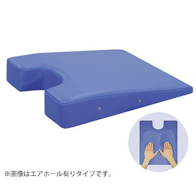 高田ベッド製作所 カラーバスト(エアホール有り) 幅42×奥行50×高さ3/11cm 黒 TB-77C-146 1個 63-0186-33（直送品）