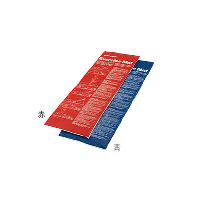 エバニュー エクササイズマット1 青 ETB222-700 1枚 63-2974-21（直送品）