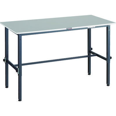 RAEM2-1500 DG（直送品）