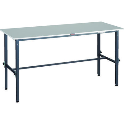 RAEM2-1860DG（直送品）