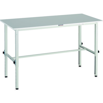 RAEM2-1560 W（直送品）