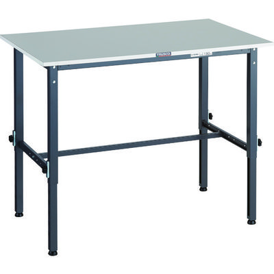 RAEM2-1260 DG（直送品）