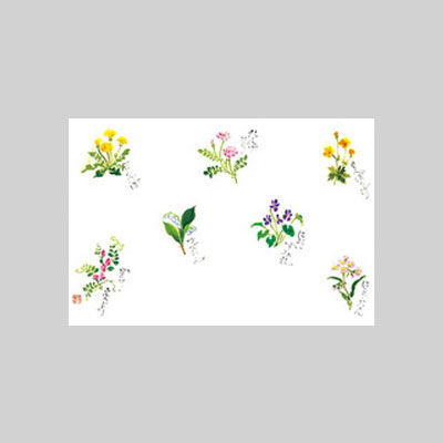 テーブルマット　尺３寸　Ｎｏ．３０８　春野の花　10冊（1000枚入） 204233　カミイソ産商（直送品）