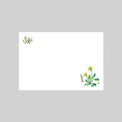 テーブルマット　尺３寸　Ｎｏ．２０５たんぽぽつくし　10冊（1000枚入） 72000205　カミイソ産商（直送品）