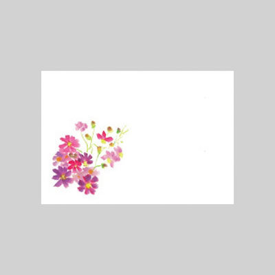 テーブルマット　尺３寸　Ｎｏ．２１１　コスモス　10冊（1000枚入） 72000211　カミイソ産商（直送品）