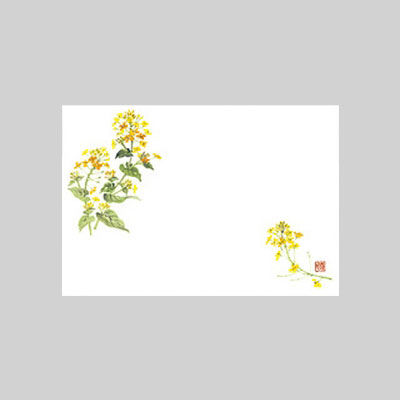 テーブルマット　尺３寸　Ｎｏ．２６６　菜の花　10冊（1000枚入） 72000266　カミイソ産商（直送品）
