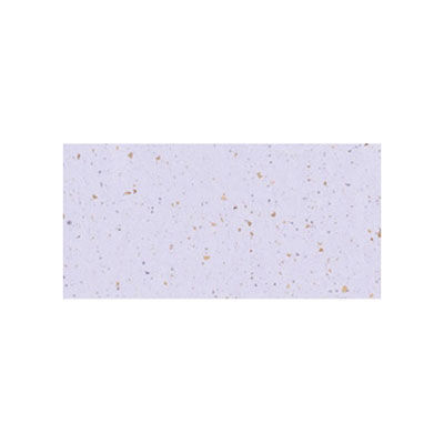 箸置きマット　Ｎｏ．４３０３　天の川　紫　10冊（1000枚入） 77004303　カミイソ産商（直送品）