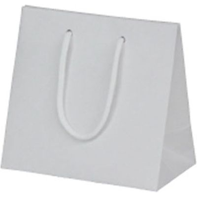 ベルベ 1757 ハンディーバッグ リッテ(Liーte) ホワイトー3 120枚(10×12) 1ケース(120枚入(10枚×12袋))（直送品）