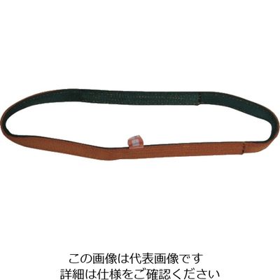 シライ ベルトスリング ナイロンスリング N3N(JIS3トウキュウ) エンドレス形 25mm幅×長さ1.0m N3N-25X1.00 1本（直送品）