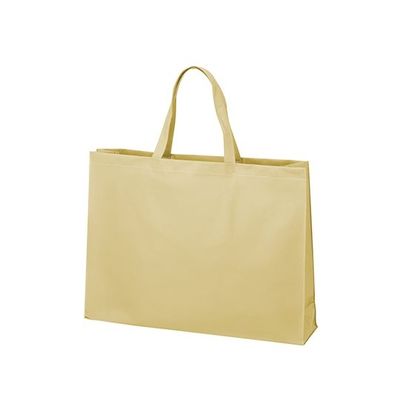 アズワン 不織布バッグ 角底 大 ベージュ 63-1290-88 1箱(100枚)（直送品）