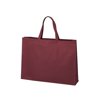 アズワン 不織布バッグ 角底 大 厚タイプ ボルドー 63-1291-24 1箱(100枚)（直送品）