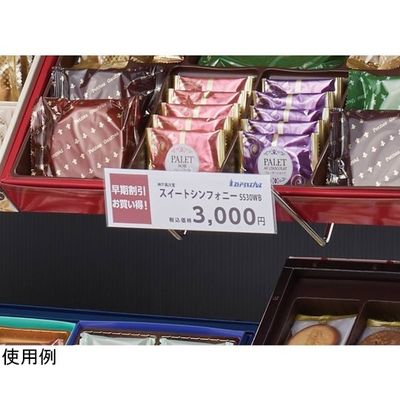 アズワン 傾斜ディスプレイフック 30°プライスホルダー 10枚入 65-9345-40 1セット(10枚)（直送品）