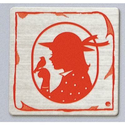 光 サインプレート 女 FS893-28 1枚 346-9737（直送品）