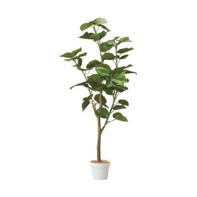 アズワン フィカスウンベラータ(フェイクグリーン 人工樹木)155cm 65-9345-85 1個（直送品）