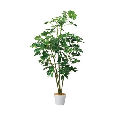 アズワン シェフレラ(フェイクグリーン 人工樹木)135cm 65-9345-87 1個（直送品）