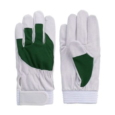 富士グローブ 豚本革手袋 Fー505 アスリート グリーンM 5887 1双 62-8796-35（直送品）