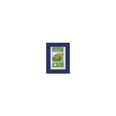 ハクバ写真産業 カラーペーパースタンドKG ネイビー MCPS-PCNV 1個 64-3959-58（直送品）