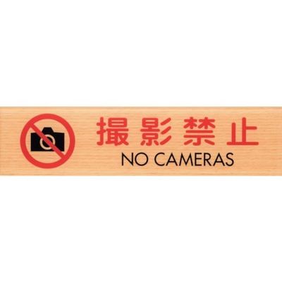 光 サインプレート 撮影禁止 NO CAMERAS WMS1847-9 1セット(5枚) 360-2852（直送品）