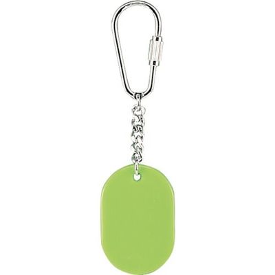 光 キーホルダー ヤンググリーン KY317-4 1セット(10個) 352-9065（直送品）