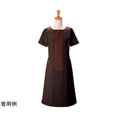 ボストン商会 ワンピース チャ 13 00109 1枚 64-9065-30（直送品）