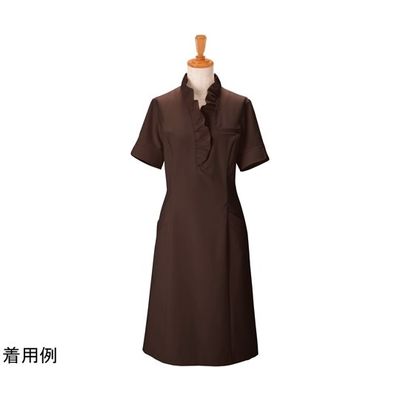 ボストン商会 ワンピース チャ 07 00110 1枚 64-9065-42（直送品）