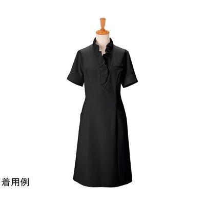 ボストン商会 ワンピース クロ 15 00110 1枚 64-9065-56（直送品）