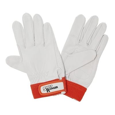 富士グローブ シープレインジャー当付 L RM-702 1個 67-4538-18（直送品）