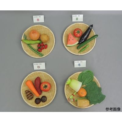 イワイサンプル 食育/旬の野菜・果物フードモデル 28品(ザル・プレート付) 53 1セット 63-6506-33（直送品）