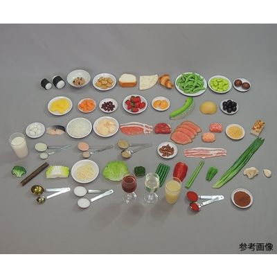 イワイサンプル フードモデル 糖尿病指導キット(1単位80kcal) 1品~155品(一部磁石付) 14-E 1セット 63-6506-31（直送品）