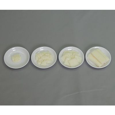 イワイサンプル フードモデル 離乳食・発達段階別素材単品 食パン 44R-Y 1セット 63-6506-36（直送品）