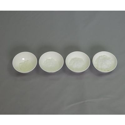 イワイサンプル フードモデル 離乳食・発達段階別素材単品 ごはん 44R-Z 1セット 63-6506-35（直送品）