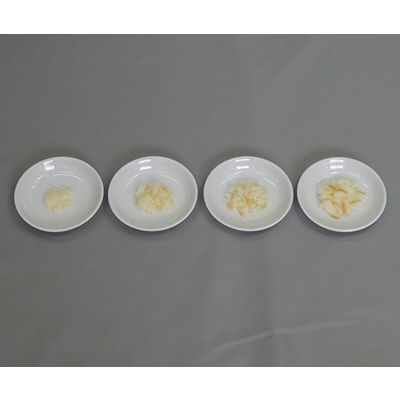 イワイサンプル フードモデル 離乳食・発達段階別素材単品 白身魚 44R-W 1セット 63-6506-37（直送品）