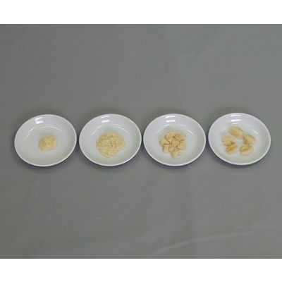 イワイサンプル フードモデル 離乳食・発達段階別素材単品 鶏肉 44R-V 1セット 63-6506-38（直送品）