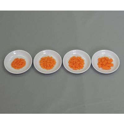 イワイサンプル フードモデル 離乳食・発達段階別素材単品 人参 44R-T 1セット 63-6506-40（直送品）