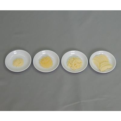 イワイサンプル フードモデル 離乳食・発達段階別素材単品 りんご 44R-Q 1セット 63-6506-42（直送品）